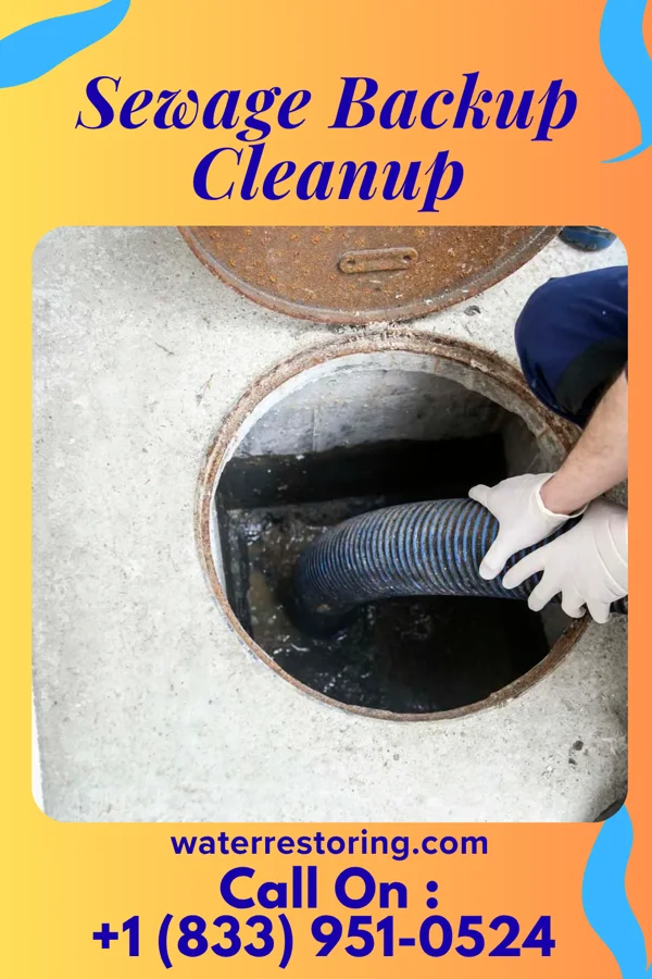 Sewage Backup Cleanup in Glen, MS
